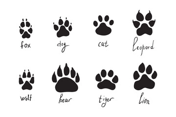 Animal paw prints set, vector different animals footprints. Dog fox wolf bear cat lion leopard tiger. Vector illustration - obrazy, fototapety, plakaty