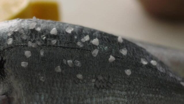  Close-up shot of Seasoning Fish with Salt and Lemon for Cooking.