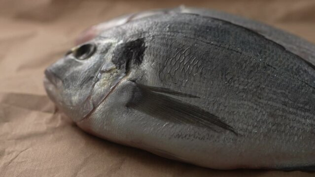 Two fresh fish rotate into view on a paper-covered surface. Selective focus, close-up.