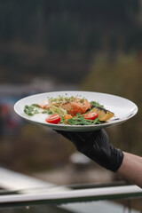 Fresh red fish with vegetables prepared on a plate against the backdrop of mountain landscapes. Fish cooking concept
