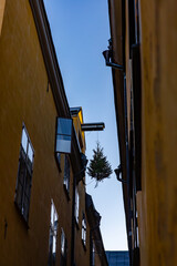 Stockholm, Sweden A Christmas tree with lights hangs over a small alley in the Old Town or Gamla Stan.