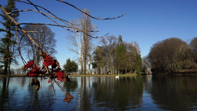 Il giardino all'inglese di Villa Contarini Camerini a Piazzola sul Brenta