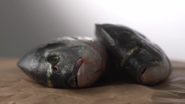 Raw Fish Prepared on Butcher Paper for Cooking. Selective focus, close-up.