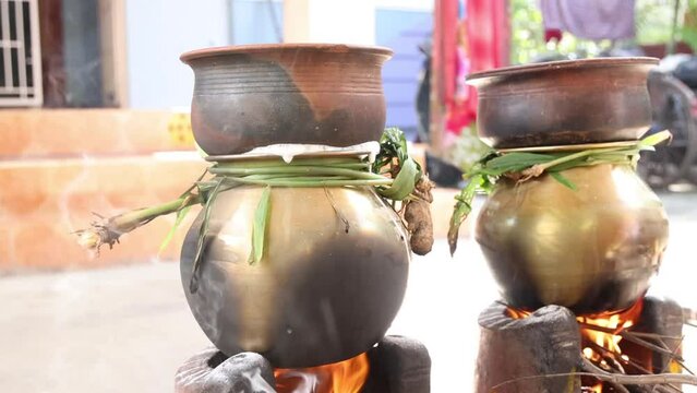celebrating Traditional Thai Pongal festival to sun god with pot, lamp,wood fire stove, fruits and sugarcane. Making Sakkarai or sugar pongal and ven pongal in sand stove in traditional method.