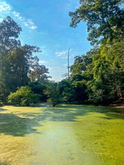 Preah Khan, Preah Khan Kampong Svay archaeological site, Angkor, Cambodia