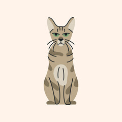 Obraz premium Savannah cat sitting color element. Cartoon cute animal.