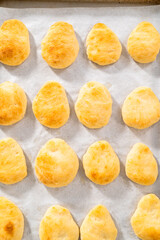 Homemade naan dippers