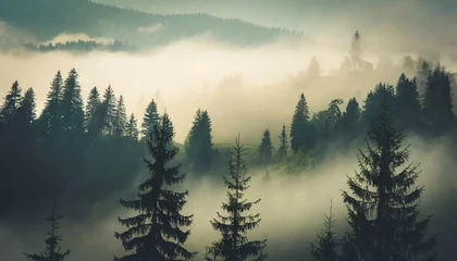 Foto op Plexiglas misty landscape with fir forest in vintage retro style generative ai © Tomas