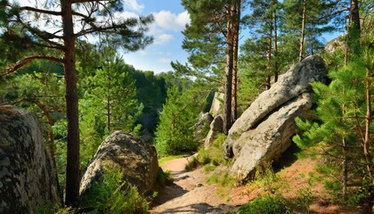 Fototapeta na wymiar forest landscape path between rocks and firtrees on background