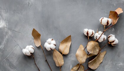 eucalyptus branches cotton flowers dried leaves on gray background fall concept top view