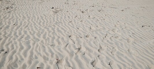 foz do rio são francisco