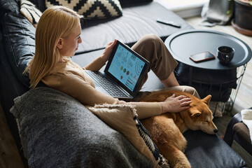 Female freelancer analyzing charts on laptop screen sitting at home, her shiba inu napping nearby