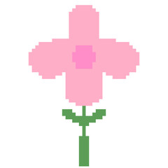 Obraz premium A pink flower