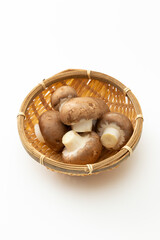 白背景にマッシュルーム