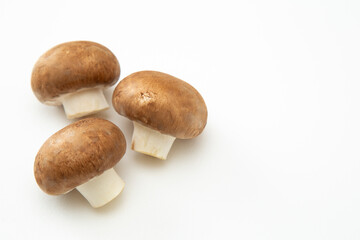 Fototapeta premium 白背景にマッシュルーム