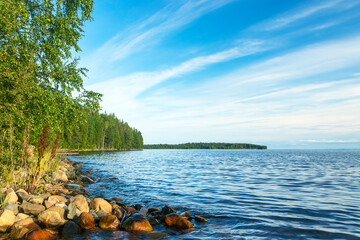 Summer landscape of the large Onega Lake with a rocky shore and growing trees along it.