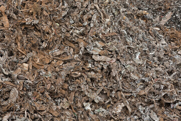 Shredded steel scrap is the fragmented or crushed steel scrap obtained by crushing or shredding any home used scraps ,used automobiles , electronic goods.