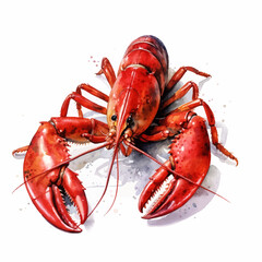 lobster, food, seafood, crayfish, red, isolated, dinner, cooked, boiled, crawfish, gourmet, claw, crustacean, shellfish, sea, fish, animal, white, antenna, meal, claws, restaurant, delicatessen, crab,