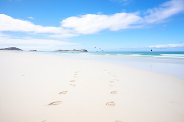 gulls and footprints on pristine white sand