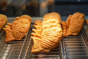 Waffle taiyaki fish pastries on display at a coffee shop.