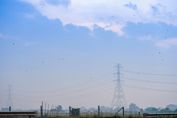 High-voltage utility poles line the countryside in the morning.
