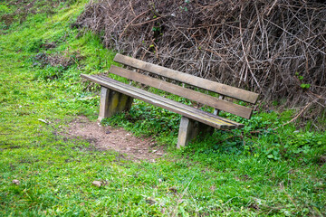 A wet wooden bench in front of a mossy wall