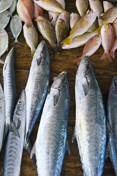 Freshly caught fish on the shelf. Street market in Sri Lanka. Vertical photo.