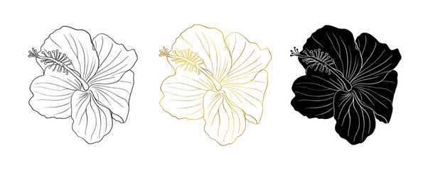 Gold foil, black ink, silhouette tropical hibiscus flower set. Chinese rose flower. Hand drawn illustration for logo, card or invite, tea herbs hibiskus tea. Isolated on white background. - obrazy, fototapety, plakaty