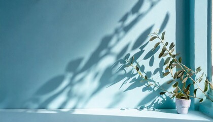 minimalistic soft light blue background with light shadows from plants on the wall generative ai