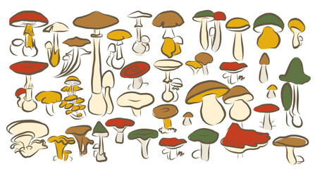 Mystical boho mushrooms vector set, magic fantasy cozy mushroom clipart, witchcraft symbol, cottagecore objects, mystical floral elements