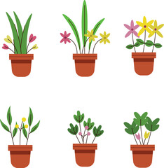 flat style vector flower pot green plants simple illustration