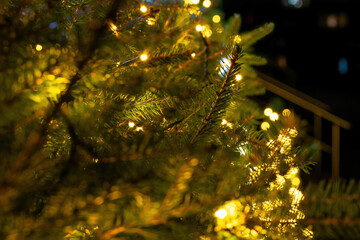 green fir tree branches with led lights