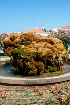 Turtles fountain (Fontana s kornjačama) in Perivoj Luje Maruna in &Scaron;ibenik in the state of &Scaron;ibenik-Knin Croatia
