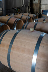 French oak wooden barrels for aging red wine in cellar, Saint-Emilion wine making region picking,...