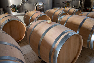 French oak wooden barrels for aging red wine in cellar, Saint-Emilion wine making region picking,...