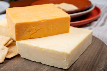 British cheeses collection, Scottish coloured and English matured cheddar cheeses