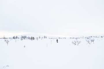 Ski expedition in Pallas Yllastunturi National Park , Lapland, Finland
