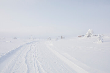 Fototapeta na wymiar Ski expedition in Pallas Yllastunturi National Park , Lapland, Finland