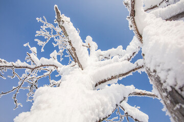 Winter landscape in Pallas Yllastunturi National Park, Lapland, Finland
