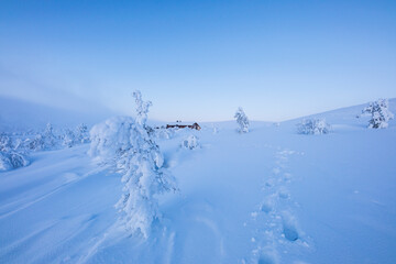 Winter landscape in Pallas Yllastunturi National Park, Lapland, Finland