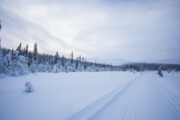 Winter landscape in Pallas Yllastunturi National Park, Lapland, Finland