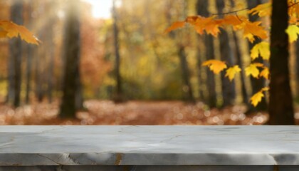 Naklejka na ściany i meble autumn in the forest panoramic banner mockup for display of product.