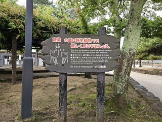 Plant Property Natural environment Tree Natural landscape Land lot