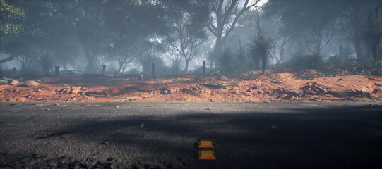 Country road with trees and other vegetation in misty desert.