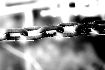 Chains behind our house