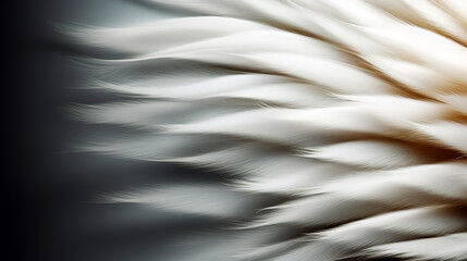 Abstract blurred gradient background with wild bird feathers.