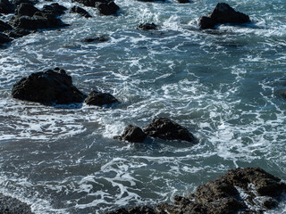 Obraz premium 海岸の風景