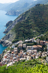 Fototapeta na wymiar Panoramic view of the town of Riomaggiore Liguria