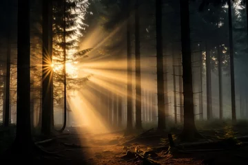 Gordijnen Magical sunbeams streaming through the enchanting misty forest with mesmerizing rays of sunlight © Ilja