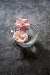 pink roses flowers in glass cup on dark abstract background. floral composition with roses. romantic inspiration floral image. creative minimal style concept. top view. copy space. template for design